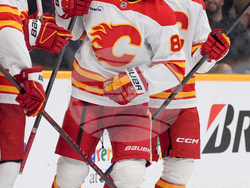 Flames Predators Hockey