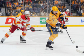 Flames Predators Hockey