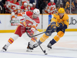 Flames Predators Hockey