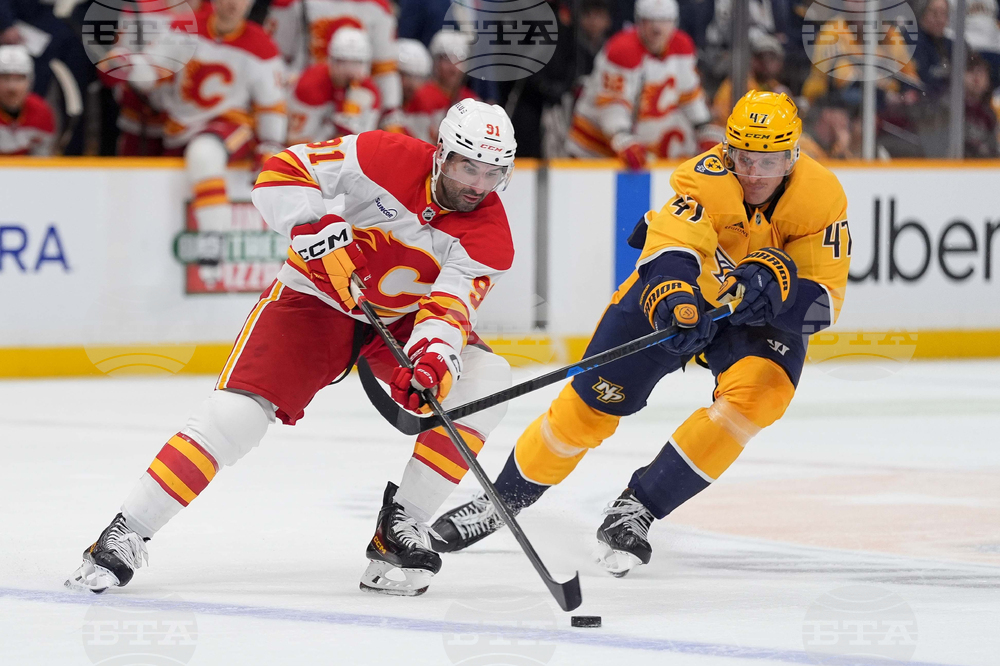 Flames Predators Hockey