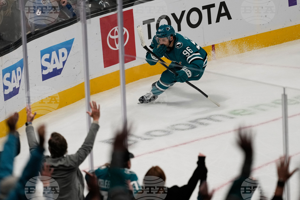 Avalanche Sharks Hockey