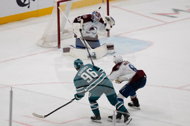 Avalanche Sharks Hockey