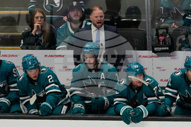 Avalanche Sharks Hockey