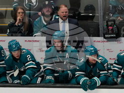 Avalanche Sharks Hockey