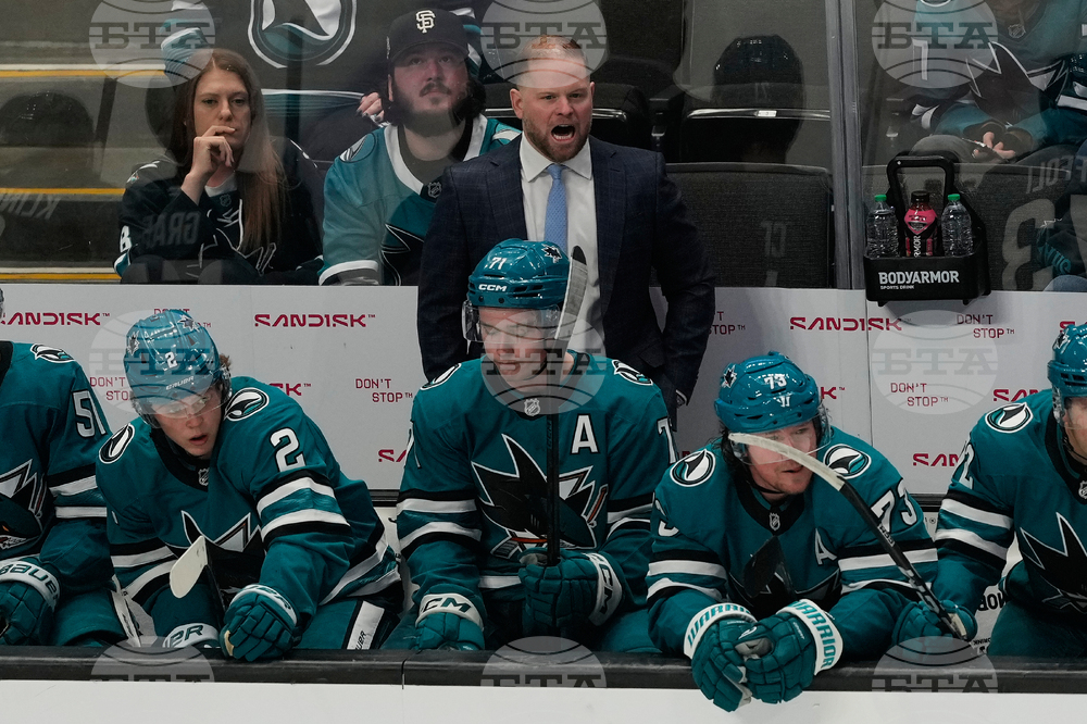 Avalanche Sharks Hockey