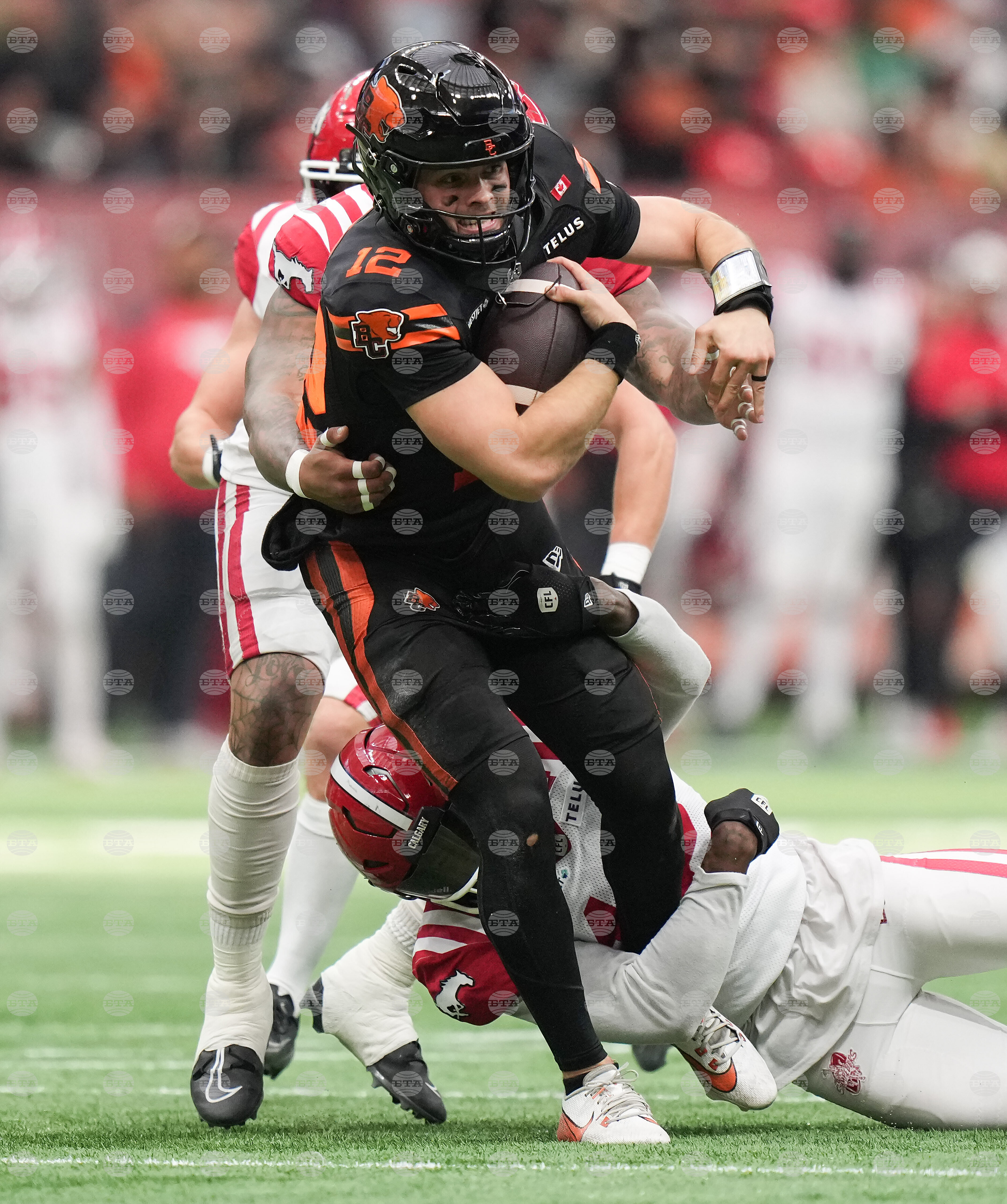 CFL Stampeders Lions Football