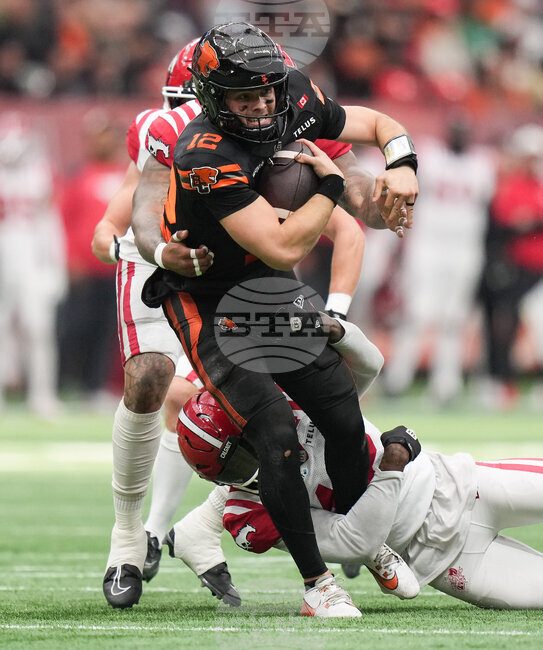 CFL Stampeders Lions Football