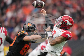 CFL Stampeders Lions Football