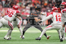 CFL Stampeders Lions Football
