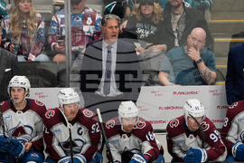 Avalanche Sharks Hockey