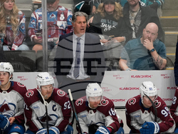 Avalanche Sharks Hockey