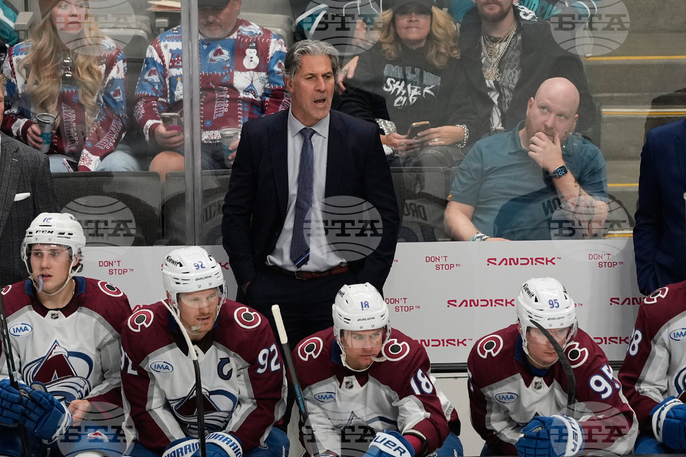 Avalanche Sharks Hockey