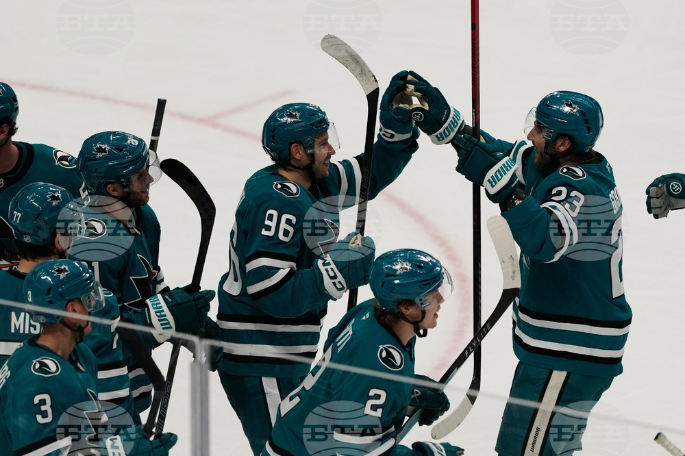 Avalanche Sharks Hockey