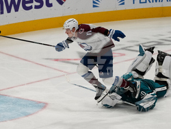 Avalanche Sharks Hockey