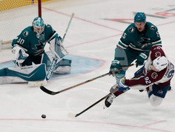 Avalanche Sharks Hockey