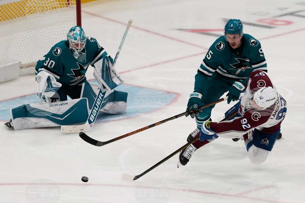 Avalanche Sharks Hockey