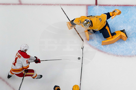 Flames Predators Hockey