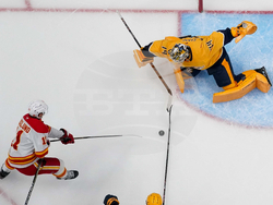 Flames Predators Hockey