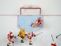 Flames Predators Hockey