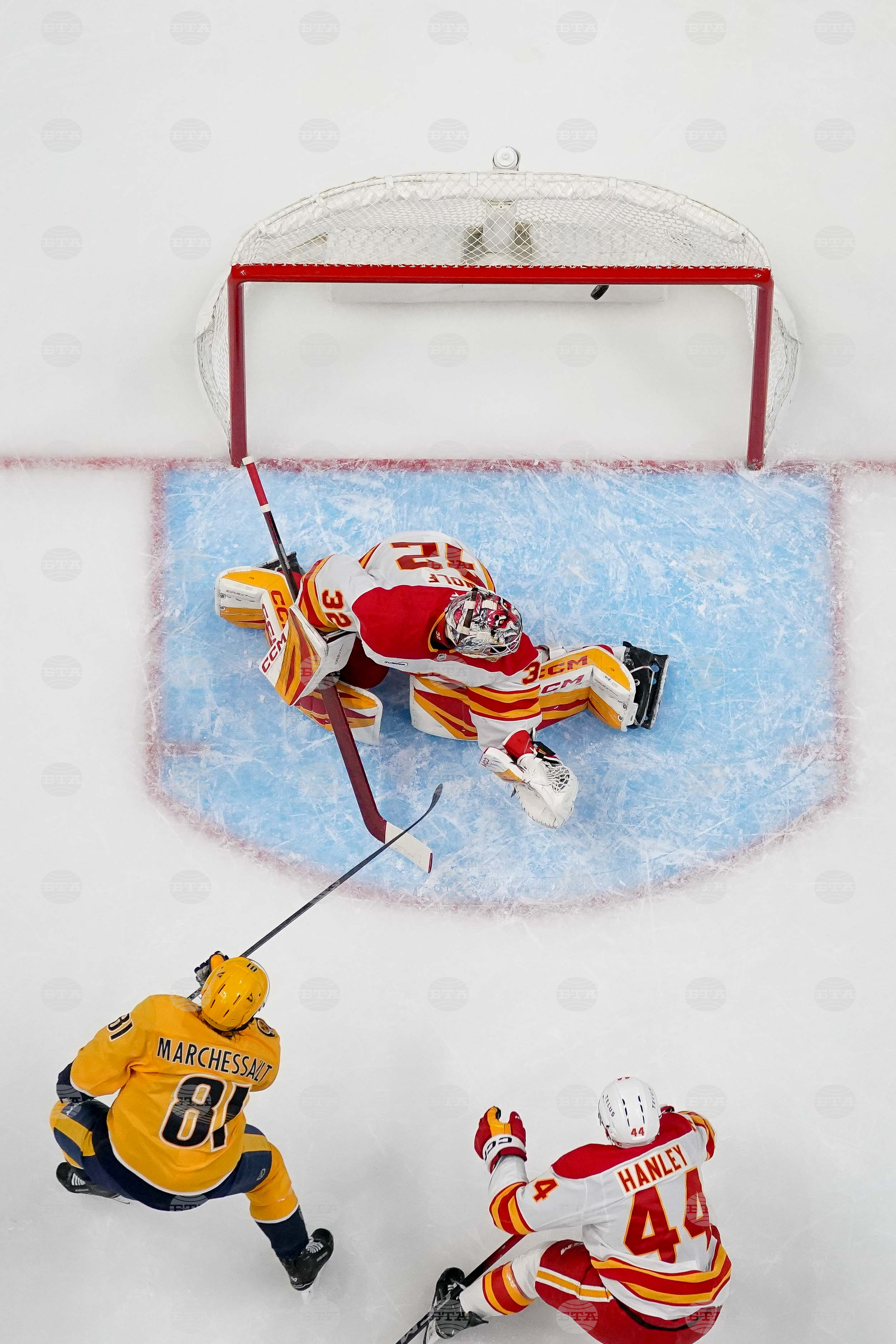 Flames Predators Hockey