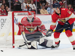 Stars Panthers Hockey