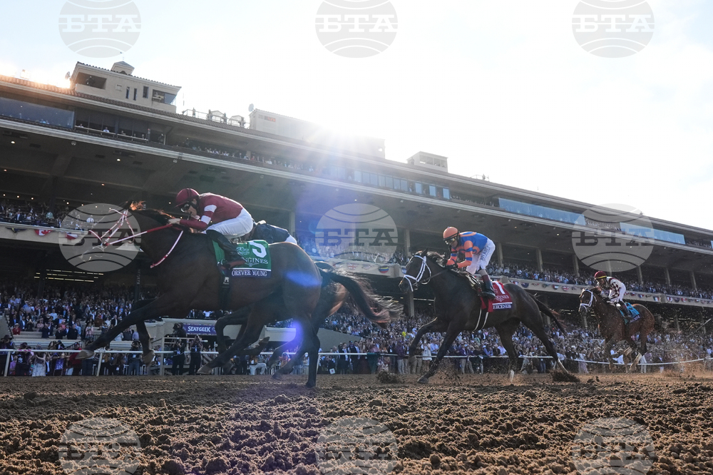 APTOPIX Breeders Cup Classic Horse Racing