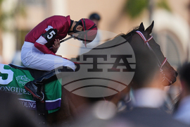 APTOPIX Breeders Cup Classic Horse Racing