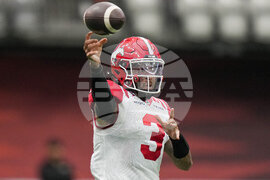 CFL Stampeders Lions Football