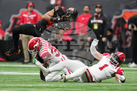 CFL Stampeders Lions Football