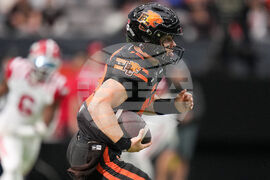 CFL Stampeders Lions Football