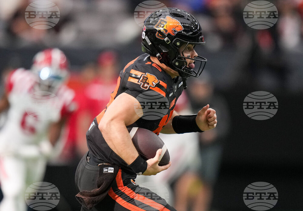 CFL Stampeders Lions Football