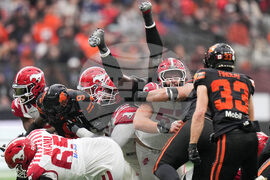 CFL Stampeders Lions Football