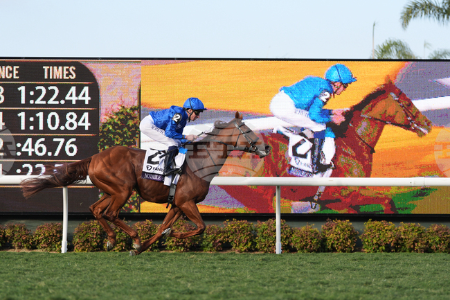 Breeders Cup Mile Horse Racing