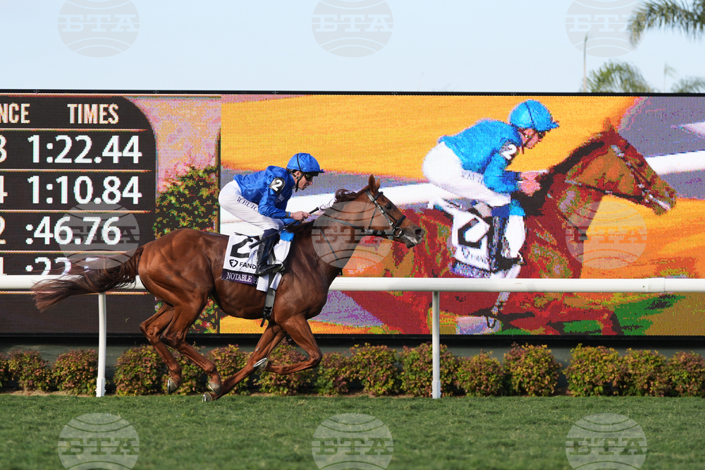 Breeders Cup Mile Horse Racing