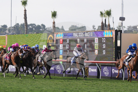 Breeders Cup Mile Horse Racing