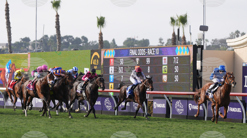 Breeders Cup Mile Horse Racing