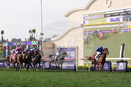 Breeders Cup Mile Horse Racing