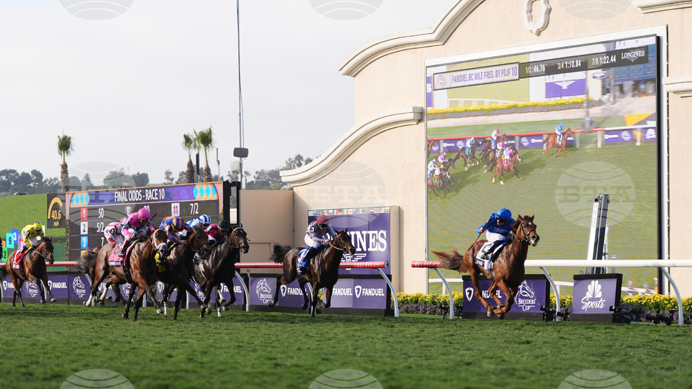 Breeders Cup Mile Horse Racing