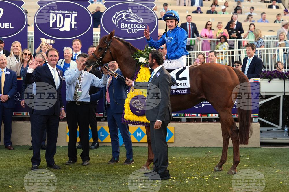 Breeders Cup Mile Horse Racing