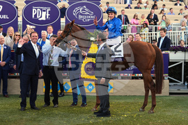 Breeders Cup Mile Horse Racing