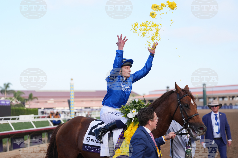 Breeders Cup Mile Horse Racing