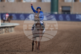 Breeders Cup Mile Horse Racing