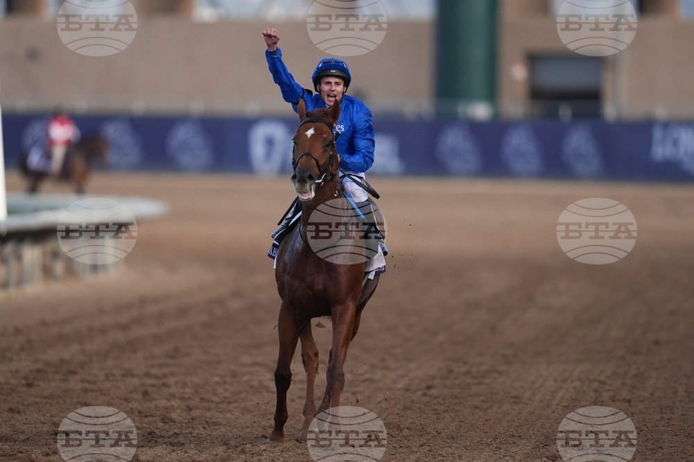 Breeders Cup Mile Horse Racing