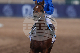 Breeders Cup Mile Horse Racing