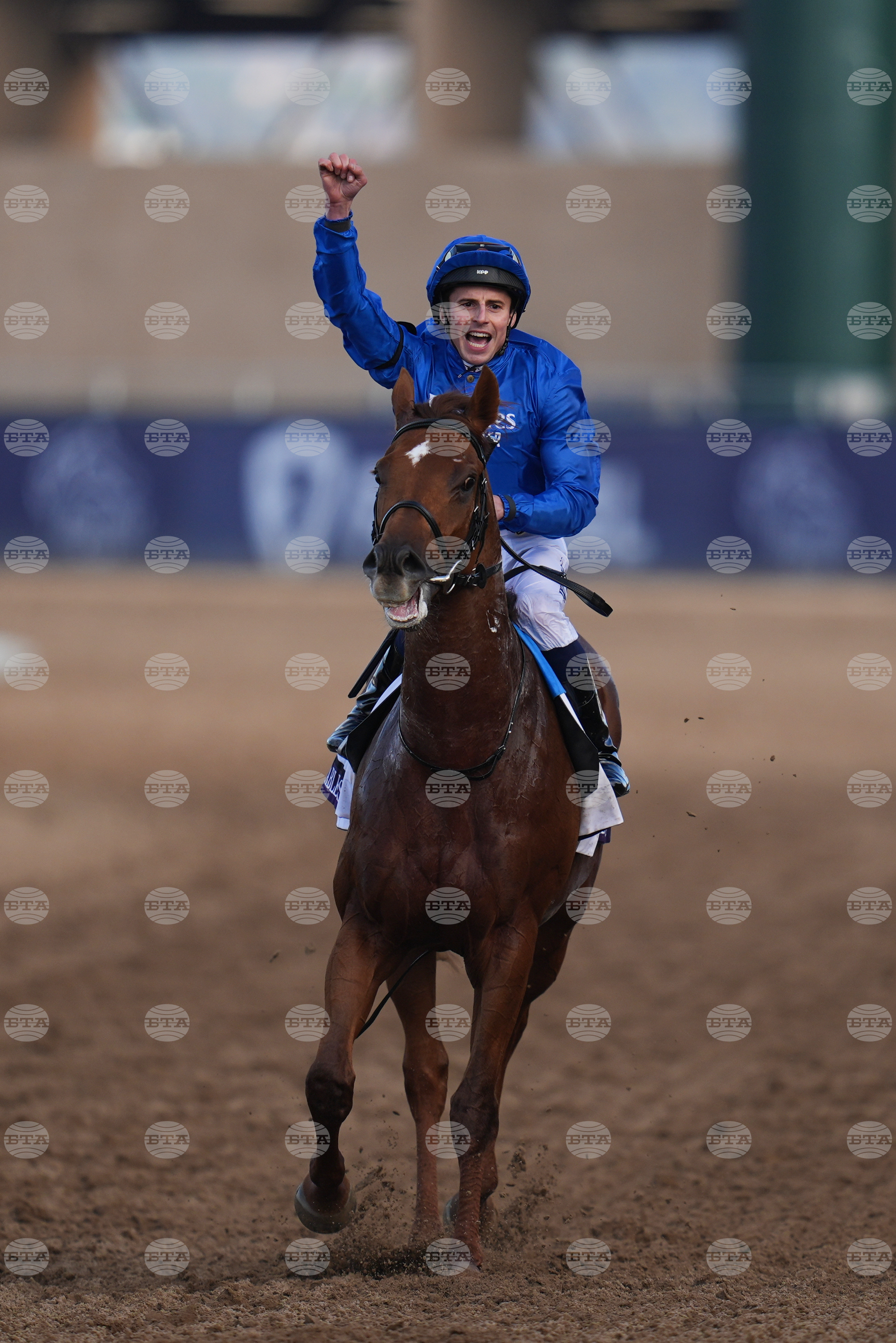 Breeders Cup Mile Horse Racing