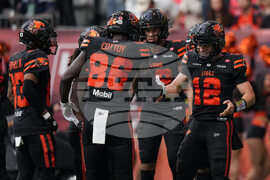 CFL Stampeders Lions Football