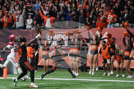 CFL Stampeders Lions Football