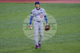 World Series Dodgers Blue Jays Baseball