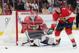 Stars Panthers Hockey