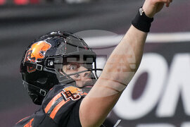 CFL Stampeders Lions Football